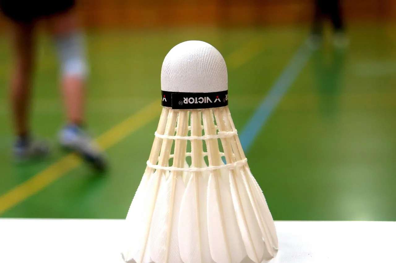 Sfeerbeeld Badminton