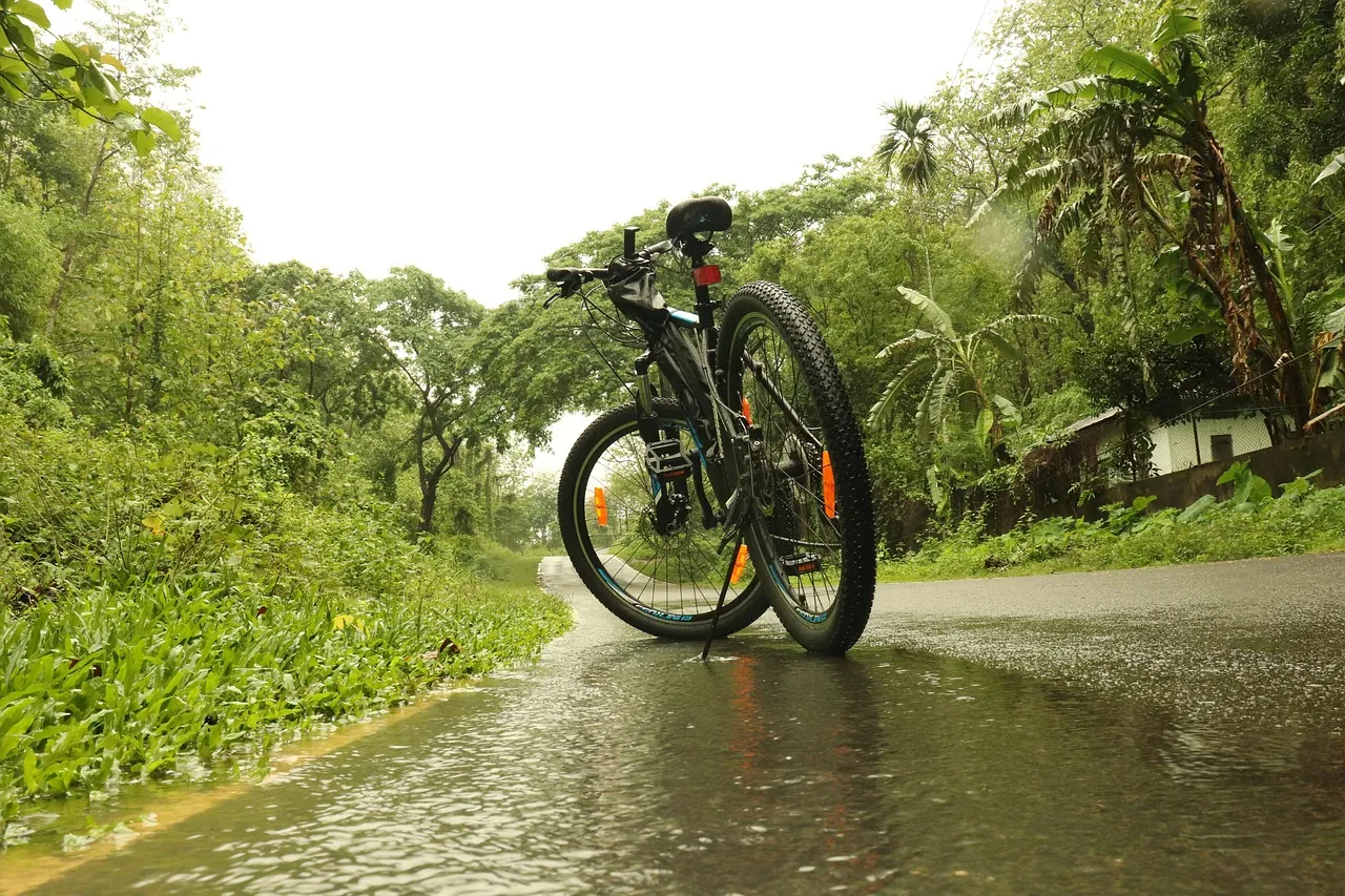 Sfeerbeeld Fietsen