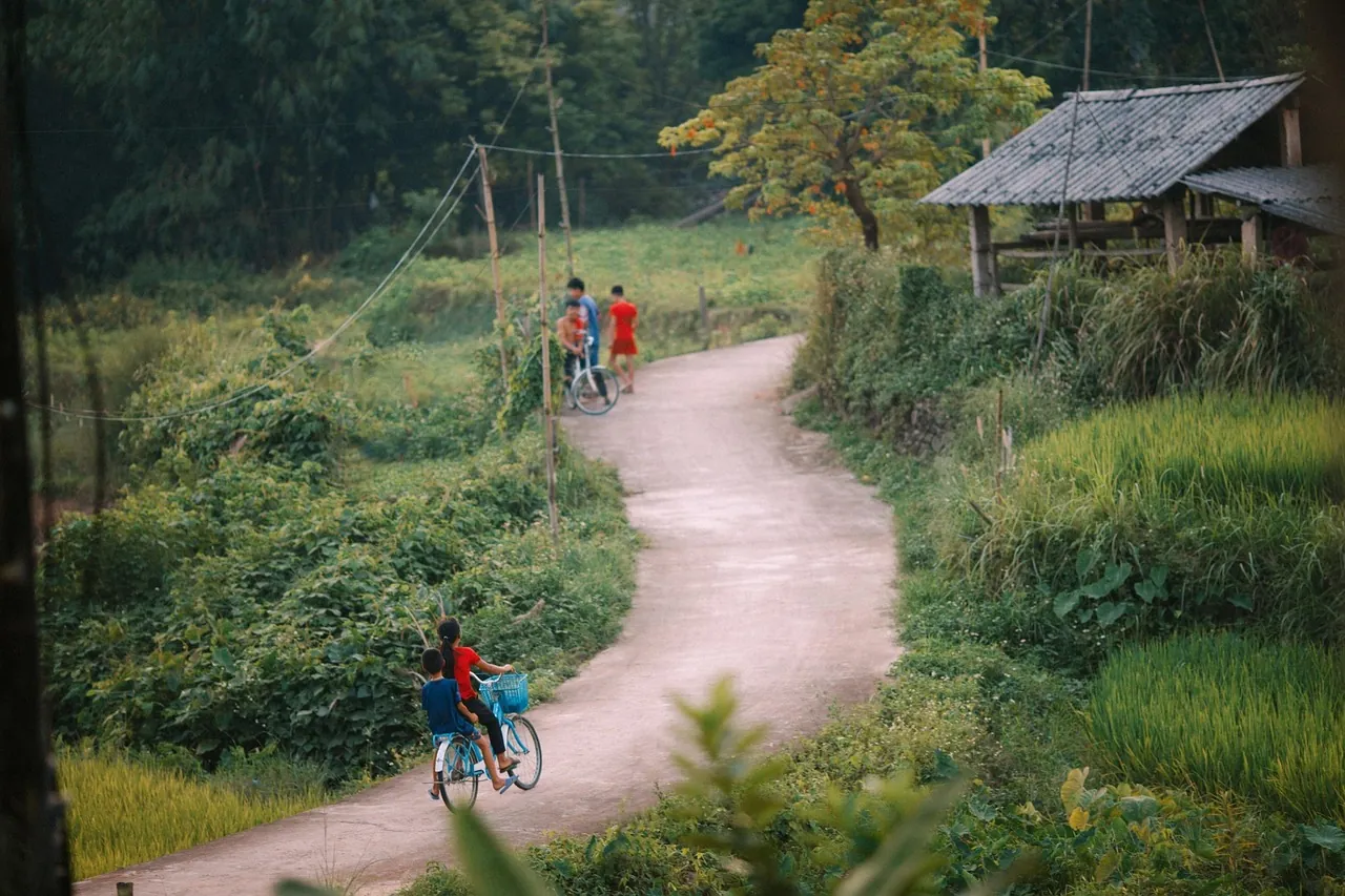 Sfeerbeeld Fietsen