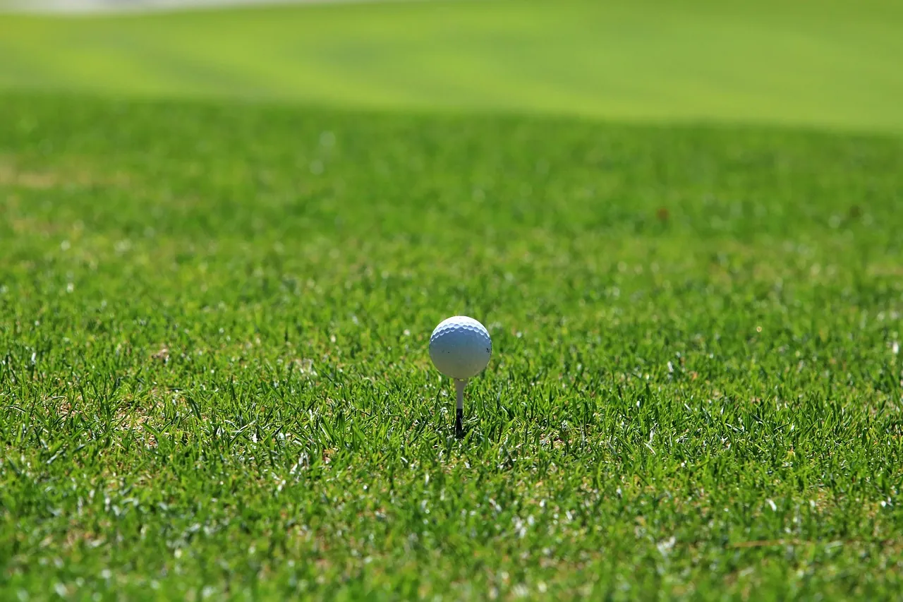 Sfeerbeeld Golf