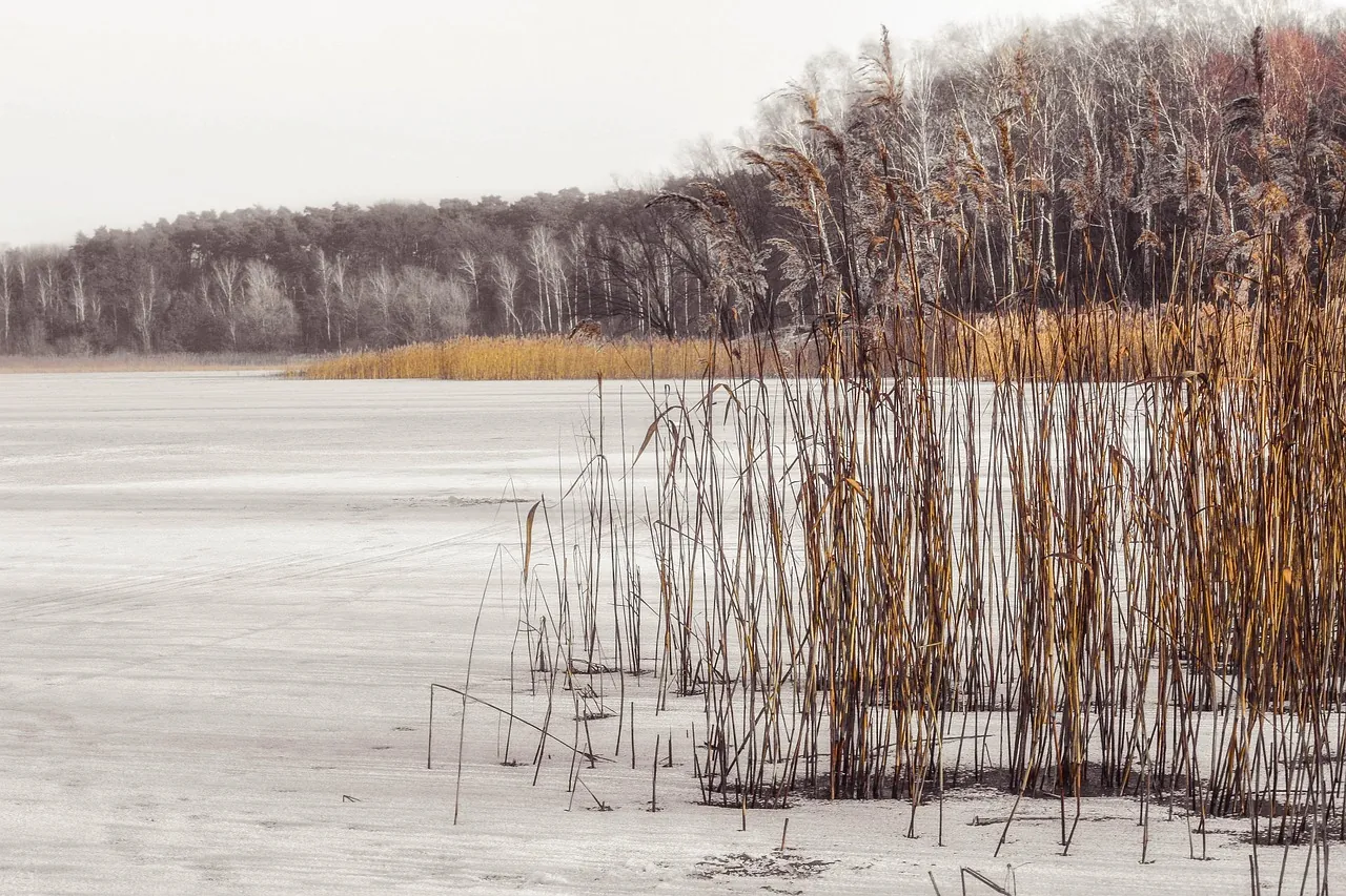 Sfeerbeeld Schaatsen
